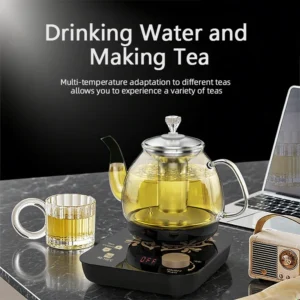 Professional 800ml Multi-Functional Glass Teapot Fast Heating Cooking & Brewing Integrated Electric Kettle Stainless Steel - Image 3