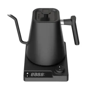 Gooseneck Electric Kettle with Temperature Control