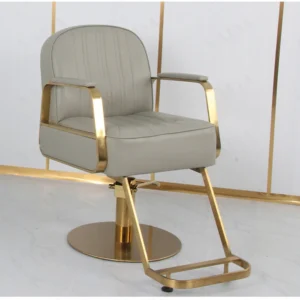 Adjustable Hydraulic Salon Styling Chair PU Leather - Image 2